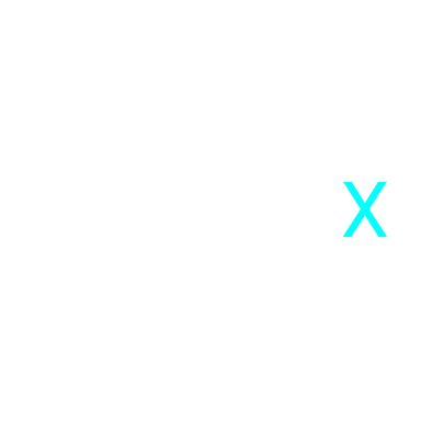 softnoveX Logo